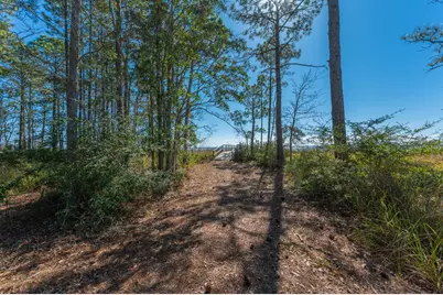 90 Acres Highway 331 S & Jolly Bay Road, Freeport, FL 32439 - Photo 25