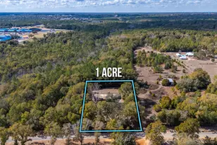 3174 Earl Kennedy Rd, Crestview, FL 32539 - Photo 35