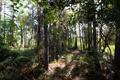 1621 Mauna Kea Court, Gulf Breeze, FL 32563 - Photo 13