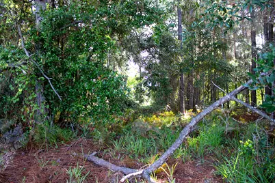 1621 Mauna Kea Court, Gulf Breeze, FL 32563 - Photo 9