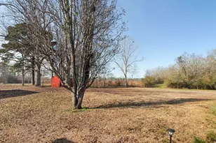 1333 Parrish Rd, Florala, AL 36442 - Photo 37