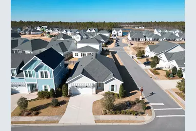 90 Suwannee Drive, Inlet Beach, FL 32461 - Photo 3