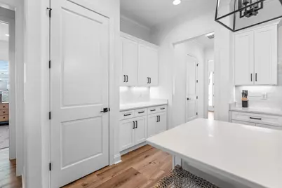 90 Suwannee Drive, Inlet Beach, FL 32461 - Photo 15