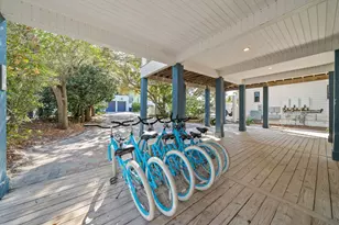 39 Thyme St, Santa Rosa Beach, FL 32459 - Photo 43