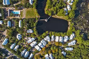 113 N Nickajack N, Santa Rosa Beach, FL 32459 - Photo 85