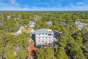 221 Hillcrest Rd, Santa Rosa Beach, FL 32459 - Photo 49