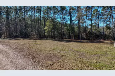 25188 Fifth Avenue, Florala, AL 36442 - Photo 25