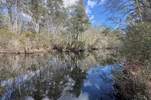 10 Sandywoods Ct, Freeport, FL 32439 - Photo 11