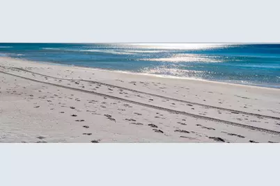 732 Scenic Gulf Drive #UNIT A103, Miramar Beach, FL 32550 - Photo 57