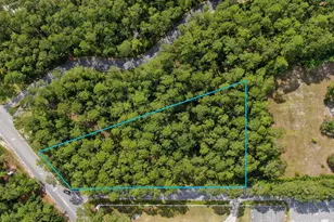 10 N Co Hwy 395 N, Santa Rosa Beach, FL 32459 - Photo 1