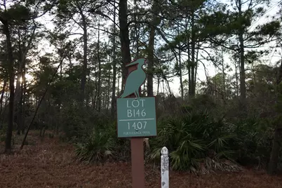 1407 Turtleback Trail, Panama City Beach, FL 32413 - Photo 7