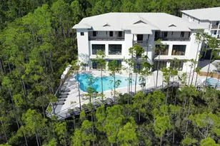 179 S County Hwy 393 S, Santa Rosa Beach, FL 32459 - Photo 5