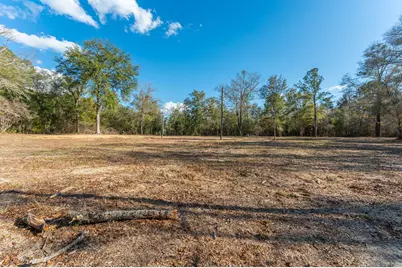 1520 Brunson Road, Caryville, FL 32427 - Photo 21