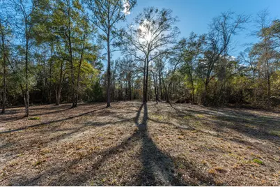 1520 Brunson Road, Caryville, FL 32427 - Photo 9