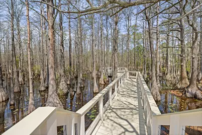 324 Cypress Drive, Santa Rosa Beach, FL 32459 - Photo 57