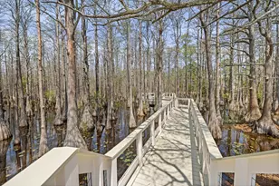 324 Cypress Dr, Santa Rosa Beach, FL 32459 - Photo 57