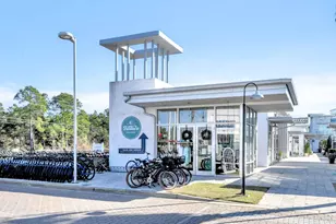 53 E Pine Lands Loop E, Inlet Beach, FL 32461 - Photo 47