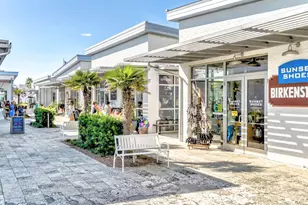 53 E Pine Lands Loop E, Inlet Beach, FL 32461 - Photo 57