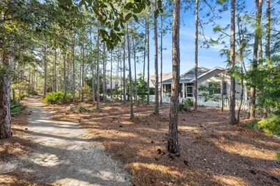 81 Jack Knife Drive, Inlet Beach, FL 32461 - Photo 13