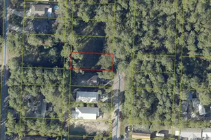 313 S 2nd Street S, Santa Rosa Beach, FL 32459 - Photo 1