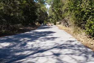 211 Missile Hill Rd, Santa Rosa Beach, FL 32459 - Photo 73