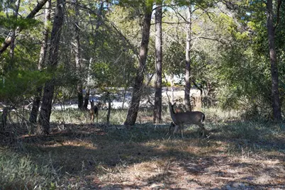 211 Missile Hill Road, Santa Rosa Beach, FL 32459 - Photo 75