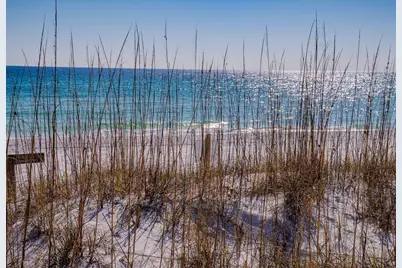 211 Missile Hill Road, Santa Rosa Beach, FL 32459 - Photo 71