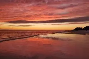 219 Scenic Gulf Dr, Miramar Beach, FL 32550 - Photo 125