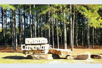 267 Buxtons Way, Freeport, FL 32439 - Photo 67