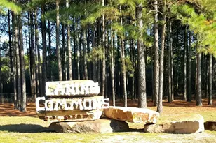 267 Buxtons Wy, Freeport, FL 32439 - Photo 67