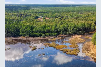 9.7 Ac Martin Road Road #9.7, Defuniak Springs, FL 32433 - Photo 5