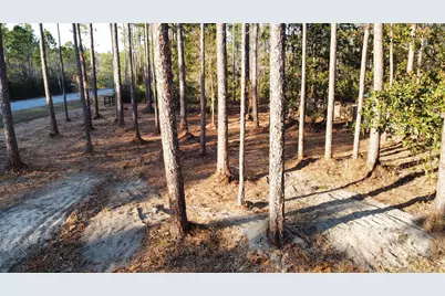 Lot 1 Crissman Road, Santa Rosa Beach, FL 32459 - Photo 7