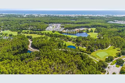 198 Medley Street, Inlet Beach, FL 32461 - Photo 37