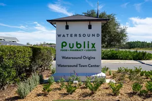 198 Medley Street, Inlet Beach, FL 32461 - Photo 41