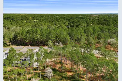 1609 Dayflower Drive, Panama City Beach, FL 32413 - Photo 9