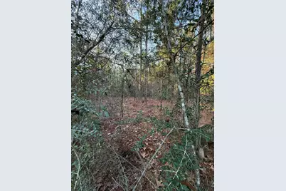 Lot 5 Blk 54 On Forest Lane, Defuniak Springs, FL 32433 - Photo 3