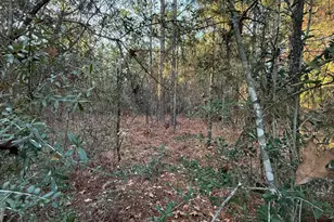 Lot 5 Blk 54 On Forest Ln, Defuniak Springs, FL 32433 - Photo 3