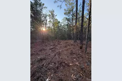 Lot 5 Blk 54 On Forest Lane, Defuniak Springs, FL 32433 - Photo 5
