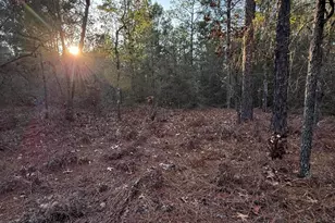 Lot 5 Blk 54 On Forest Ln, Defuniak Springs, FL 32433 - Photo 5