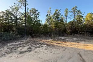 Lot 5 Blk 54 On Forest Ln, Defuniak Springs, FL 32433 - Photo 9