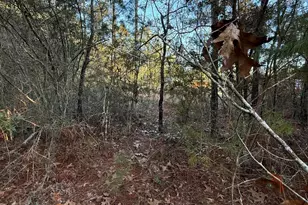 Lot 5 Blk 54 On Forest Ln, Defuniak Springs, FL 32433 - Photo 7