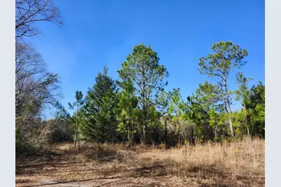 4857 W County Hwy 181 W, Defuniak Springs, FL 32433 - Photo 7