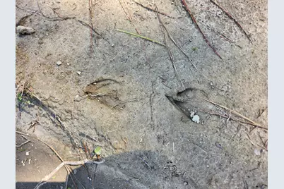 4857 W County Hwy 181 W, Defuniak Springs, FL 32433 - Photo 13