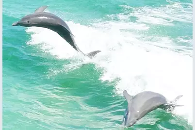 2714 Ola Broxson Road, Navarre, FL 32566 - Photo 51