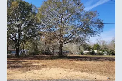 0 Blueberry Drive, Paxton, FL 32538 - Photo 1