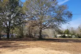 0 Blueberry Dr, Paxton, FL 32538 - Photo 1