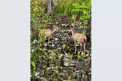 133 Cypress Passage, Santa Rosa Beach, FL 32459 - Photo 71