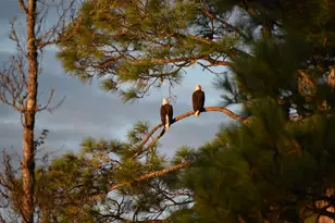 195 Alden Ln, Freeport, FL 32439 - Photo 25