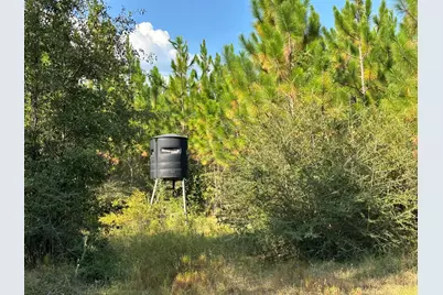 B & C New Ebenezer Road, Laurel Hill, FL 32567 - Photo 9