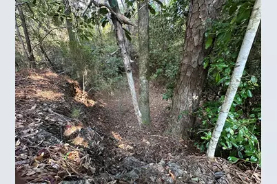 B & C New Ebenezer Road, Laurel Hill, FL 32567 - Photo 5